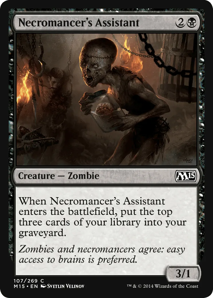 Necromancer's Assistant