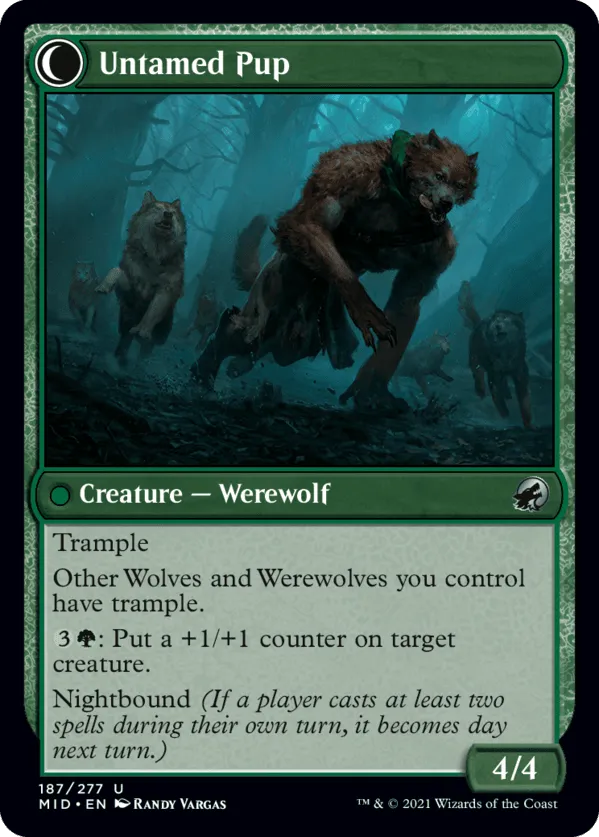 Untamed Pup