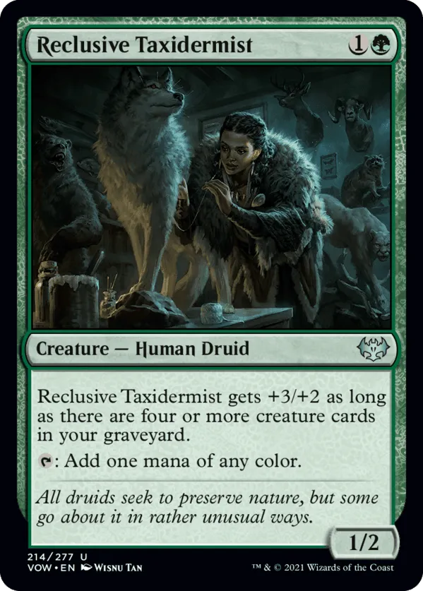 Reclusive Taxidermist