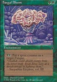 Fungal Bloom