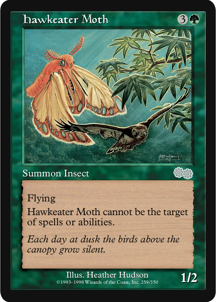 Hawkeater Moth