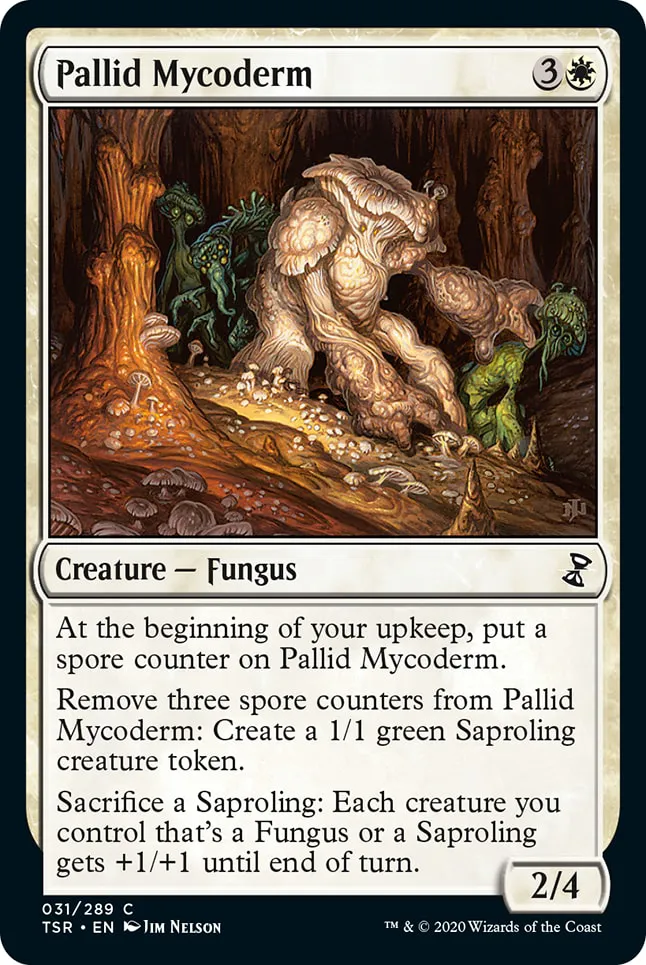 Pallid Mycoderm