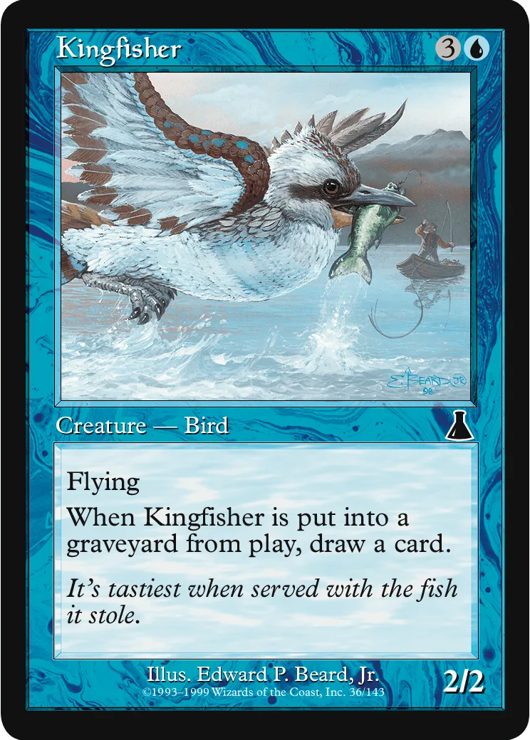 Kingfisher