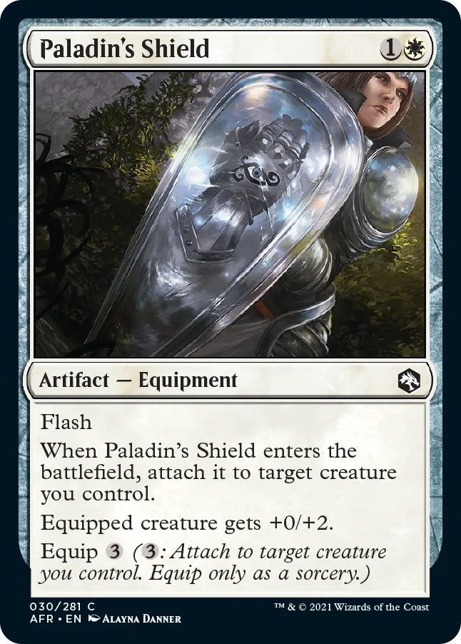 Paladin's Shield