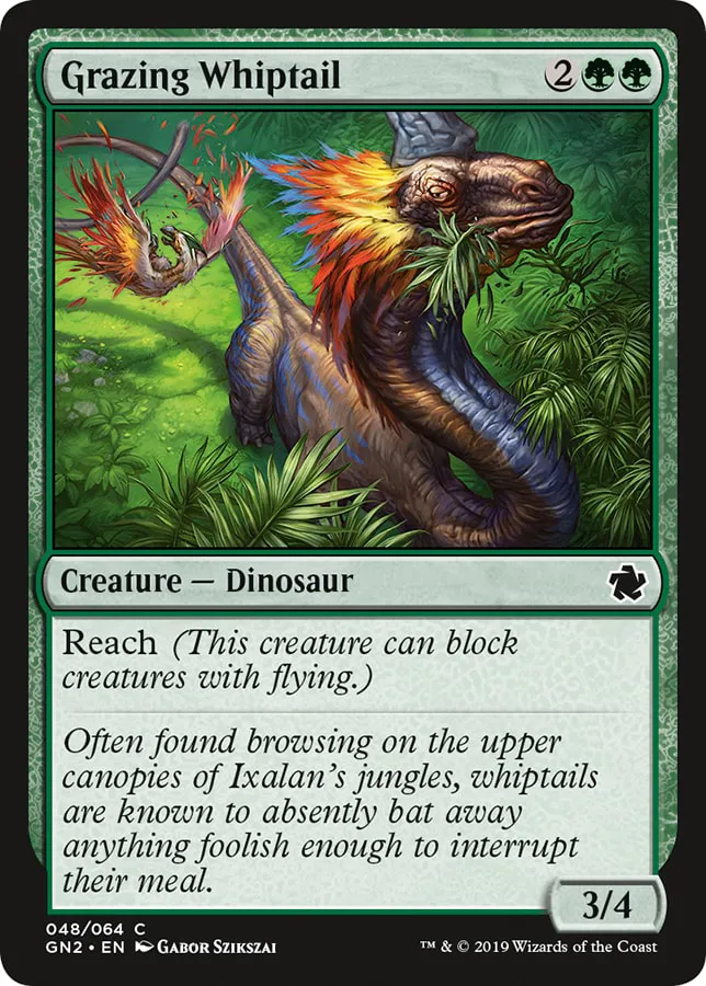 Grazing Whiptail
