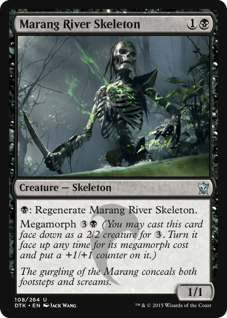 Marang River Skeleton