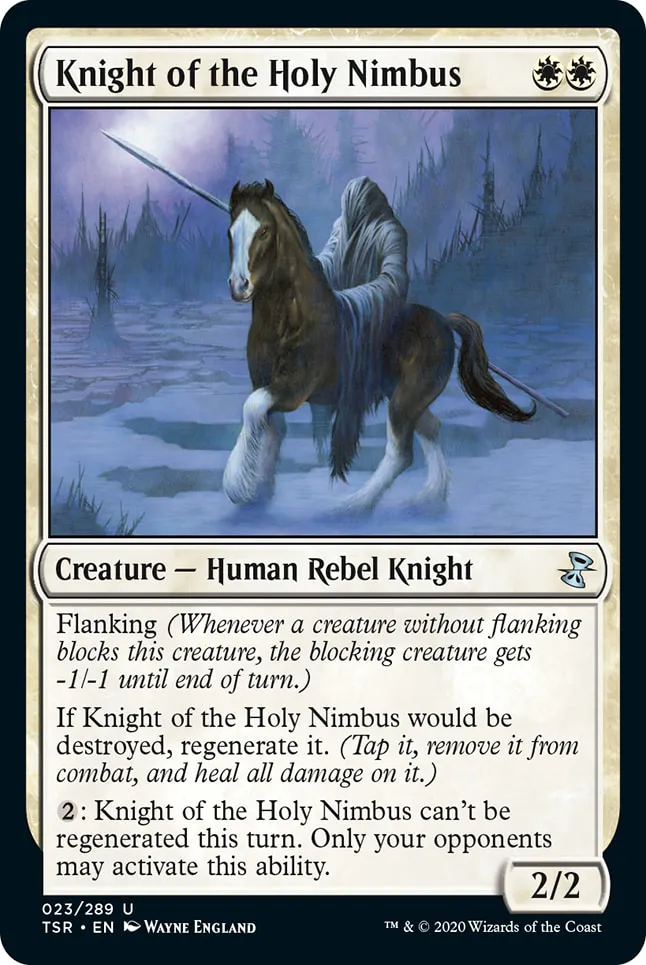 Knight of the Holy Nimbus