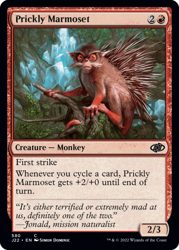 Prickly Marmoset