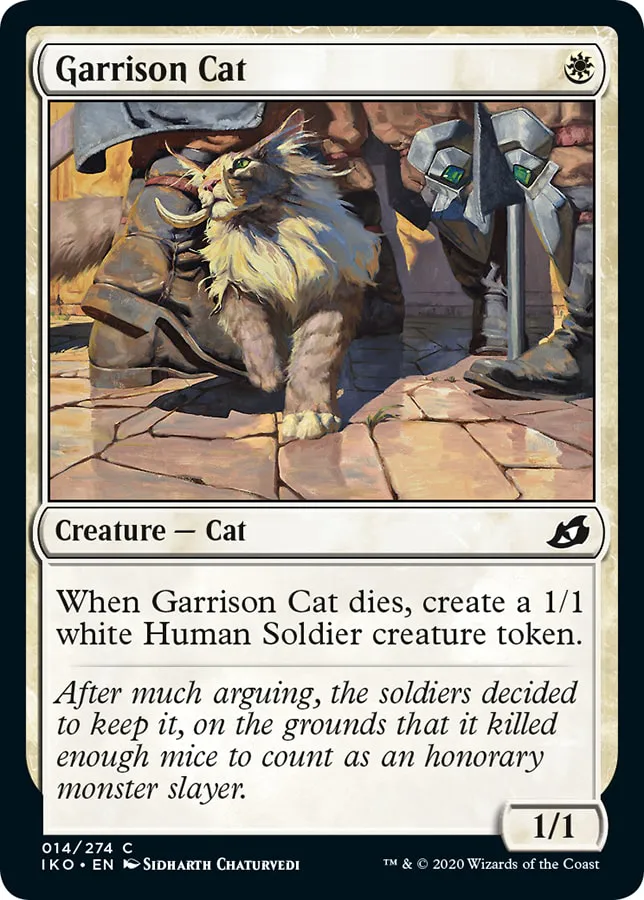 Garrison Cat