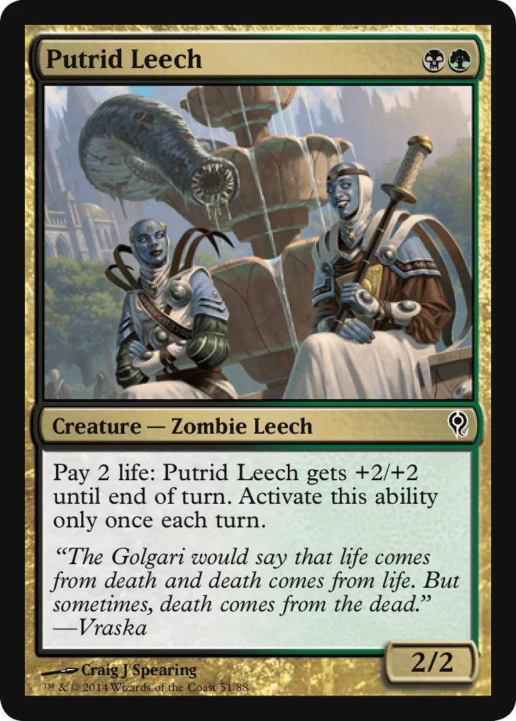 Putrid Leech