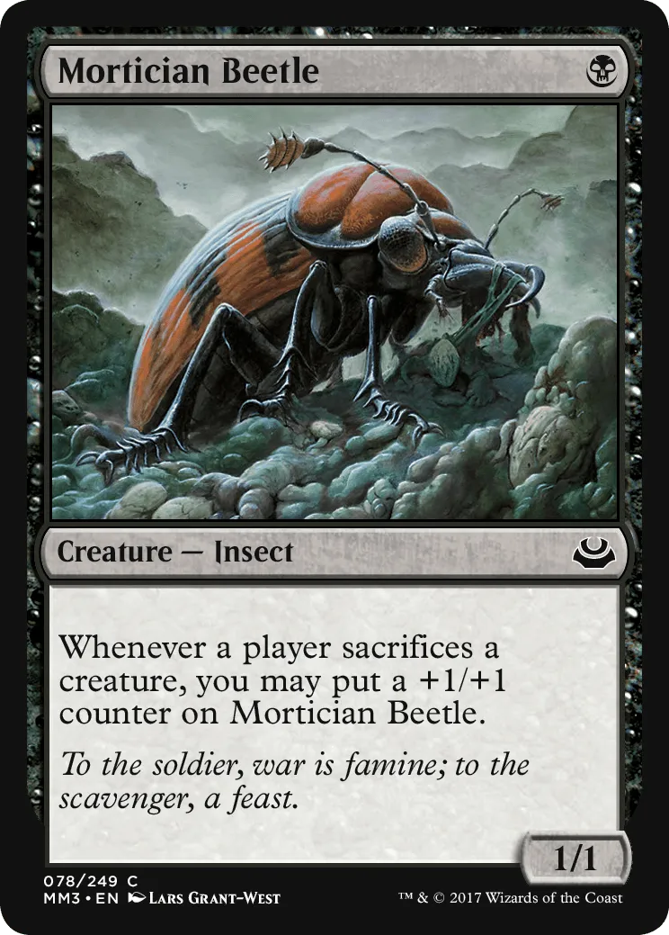 Mortician Beetle